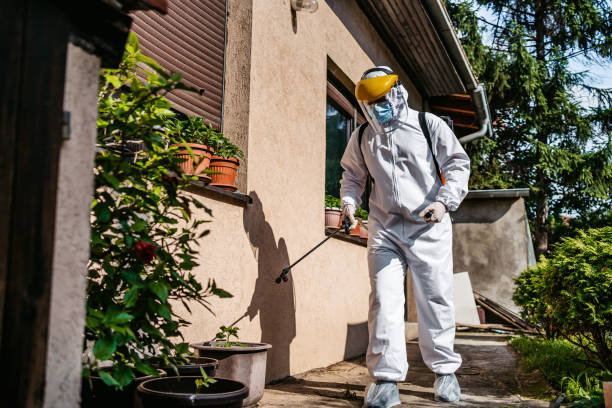 Best Mosquito Control Services  in Mansfield, TX