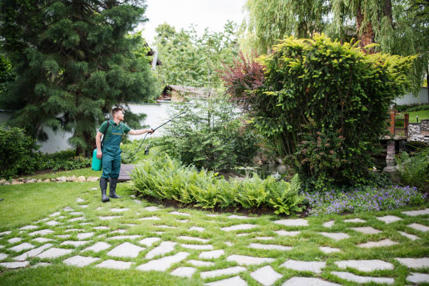 Best Pest Control for Homes  in Mansfield, TX