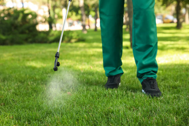 Best Ant Control Services  in Mansfield, TX