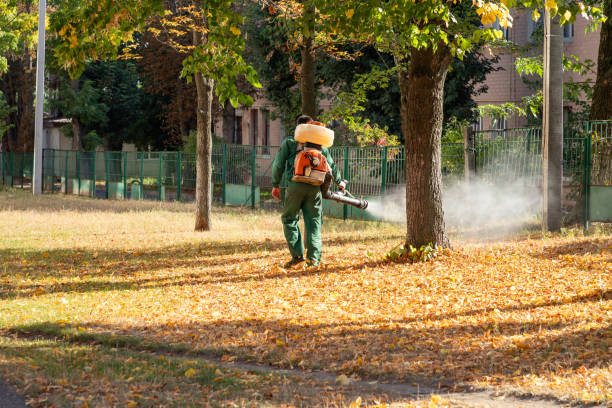 Best Wildlife Control Services  in Mansfield, TX