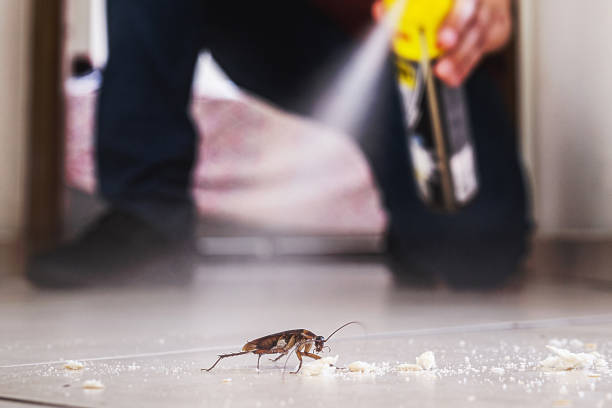 Professional Pest Control in Mansfield, TX