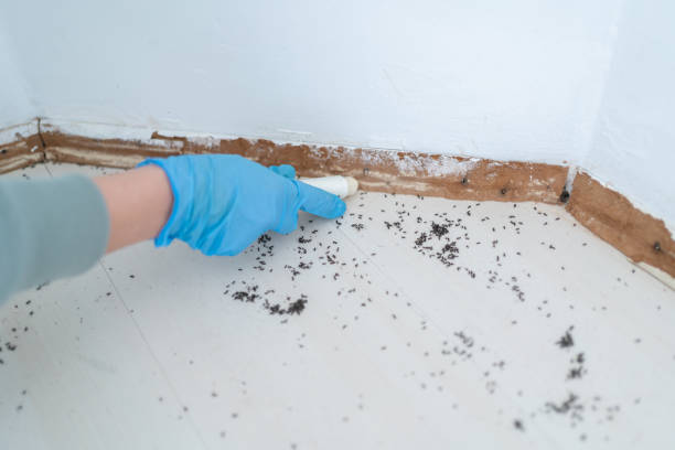 Best Exterminator Services  in Mansfield, TX